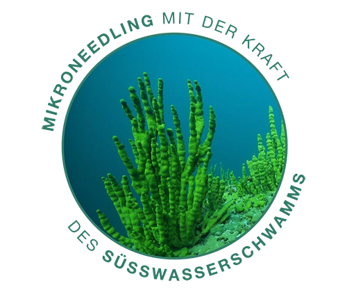 SQT Microneedling ohne Gerät: bei AusZeit-Kosmetik, Linz